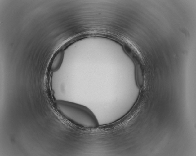 X0000111580876200908131316