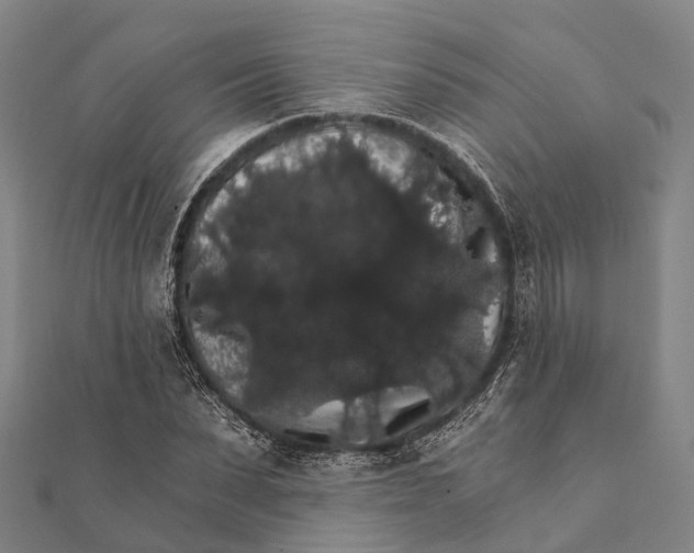 X0000111580879200908131316