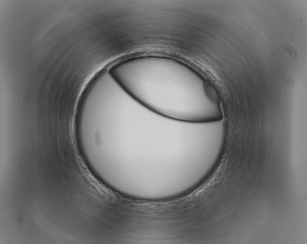 X0000111580880200908131316