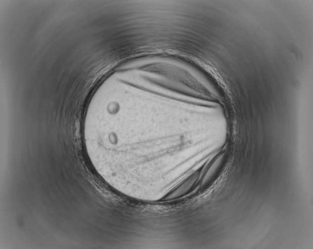 X0000111580881200908131316