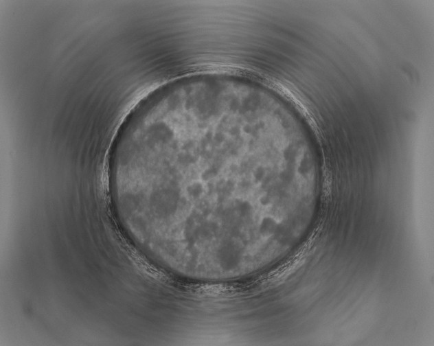 X0000111580883200908131316