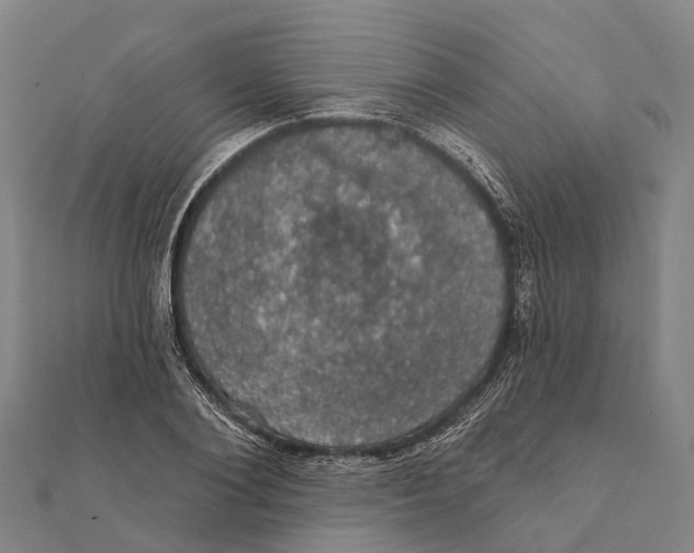 X0000111580884200908131316