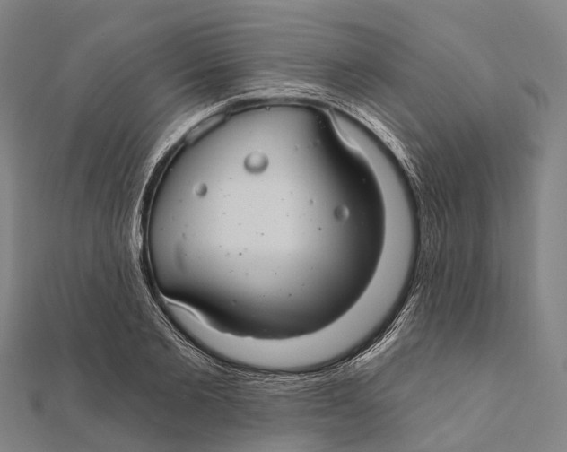 X0000111580885200908131316