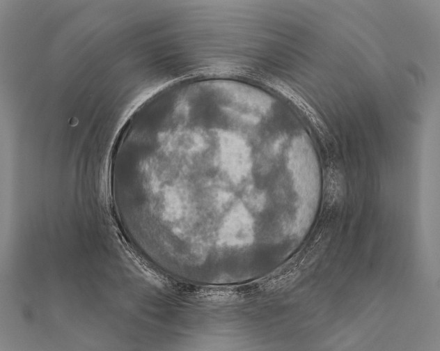 X0000111580886200908131316