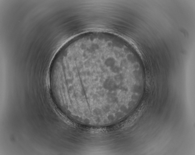 X0000111580887200908131316