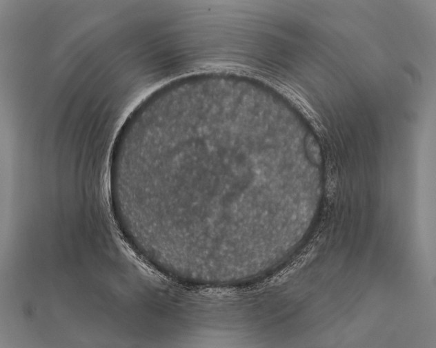 X0000111580888200908131316