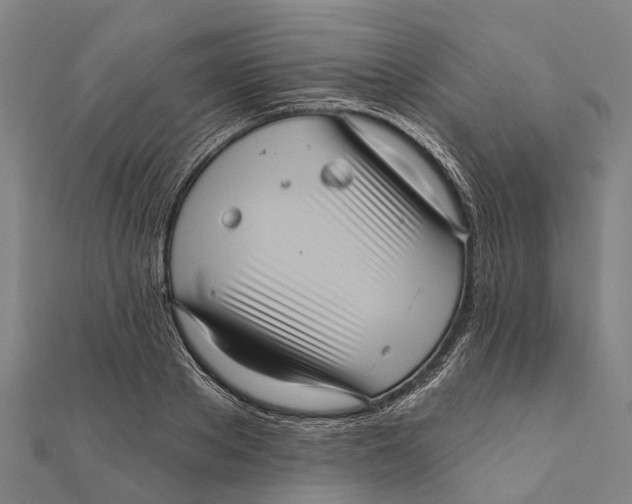 X0000111580889200908131316