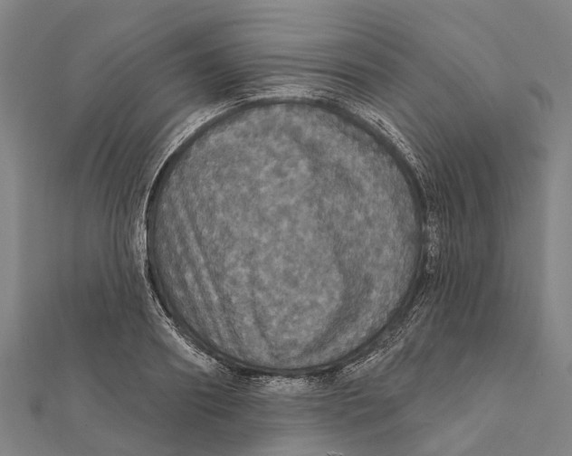 X0000111580890200908131316