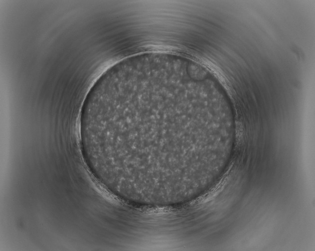 X0000111580891200908131316