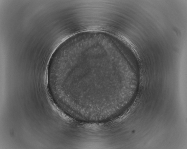 X0000111580892200908131316