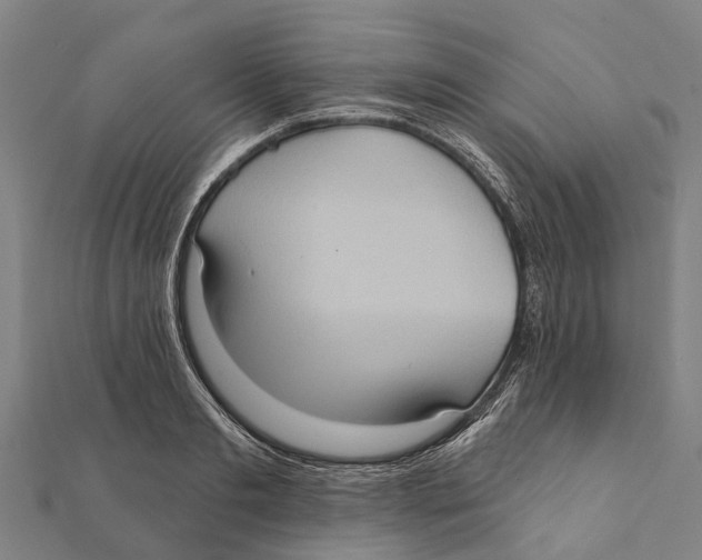 X0000111580893200908131316