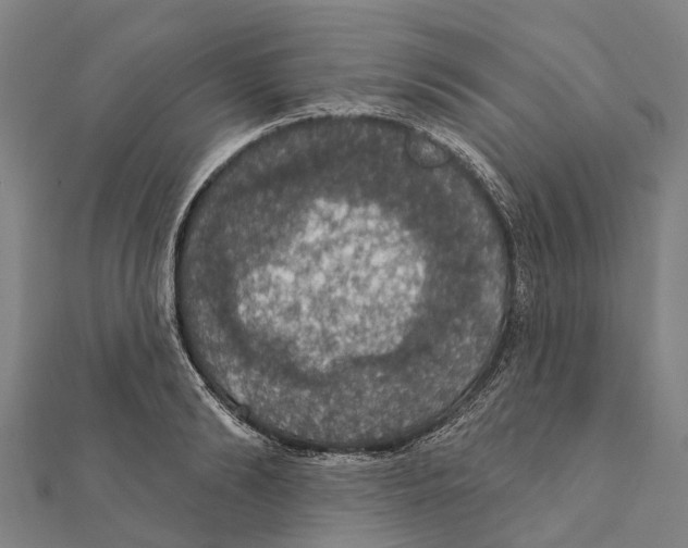 X0000111580894200908131316