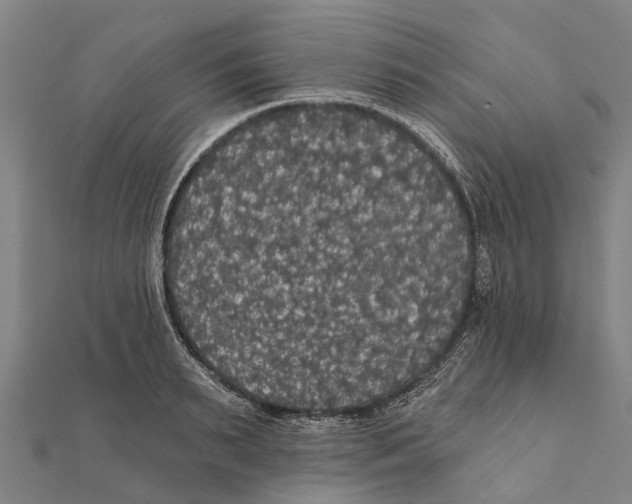 X0000111580895200908131316