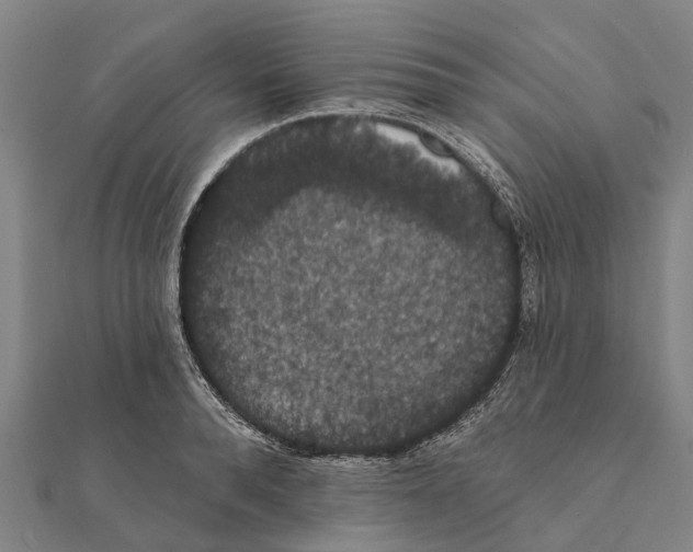 X0000111580896200908131316