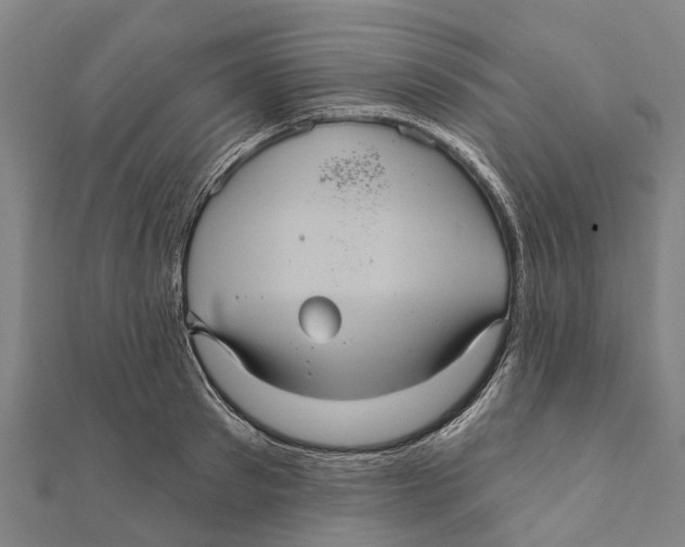 X0000111580897200908131316