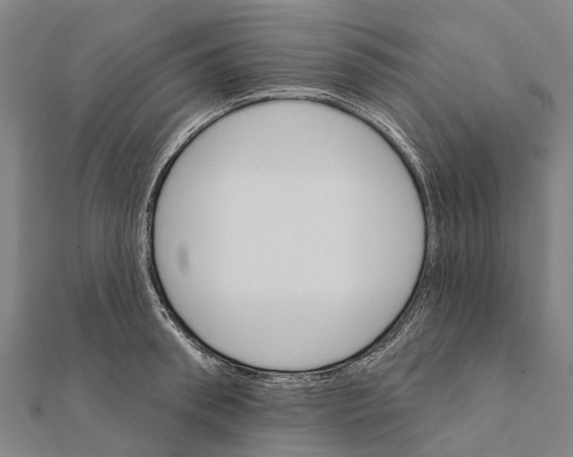 X0000111580898200908131316