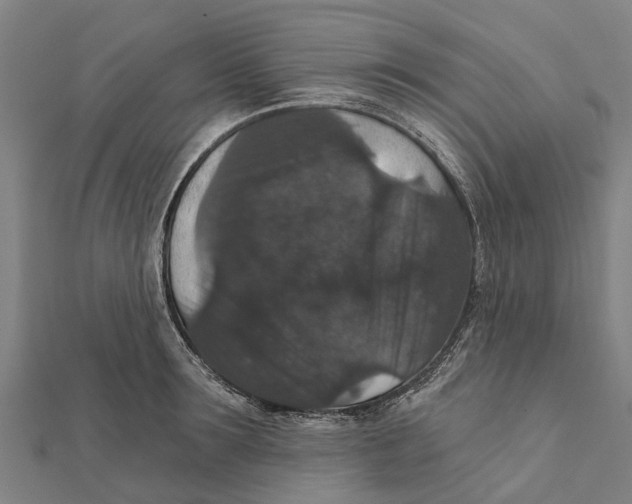 X0000111580899200908131316