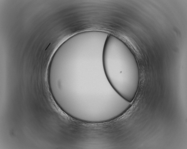 X0000111580900200908131316