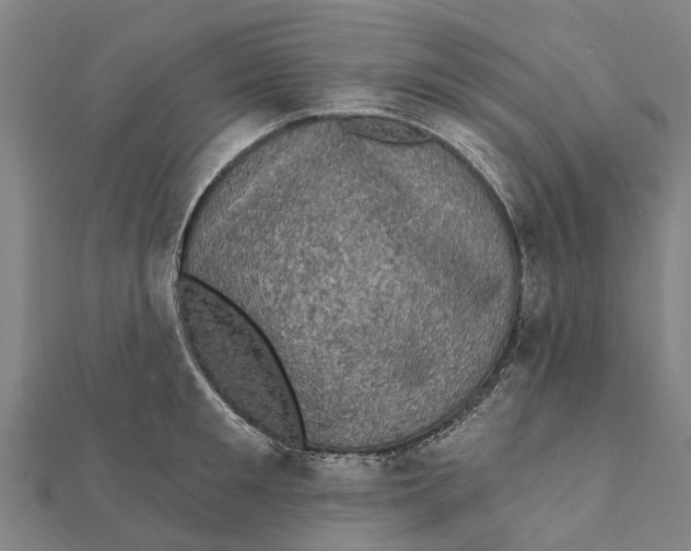 X0000111580901200908131316