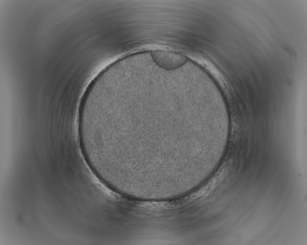 X0000111580902200908131316