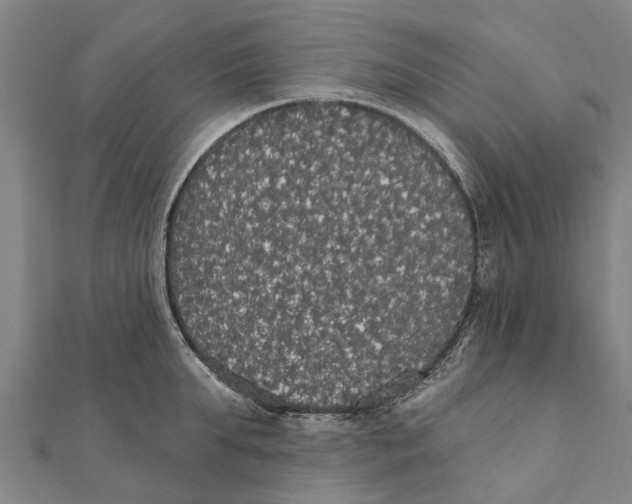 X0000111580903200908131316