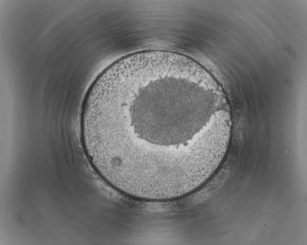 X0000111580904200908131316