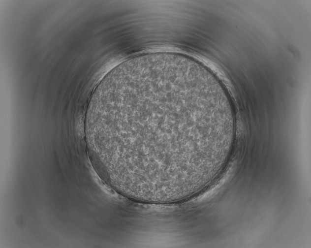 X0000111580905200908131316