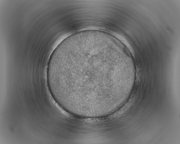 X0000111580906200908131316