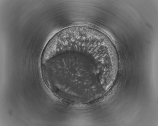 X0000111580907200908131316