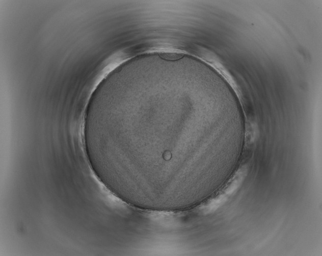 X0000111580909200908131316