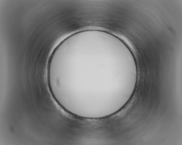 X0000111580910200908131316