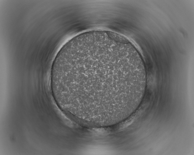 X0000111580911200908131316