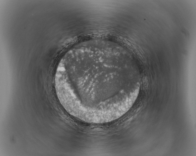 X0000111580913200908131315