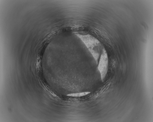 X0000111580914200908131315