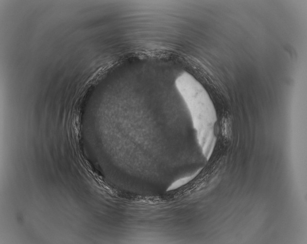 X0000111580915200908131315