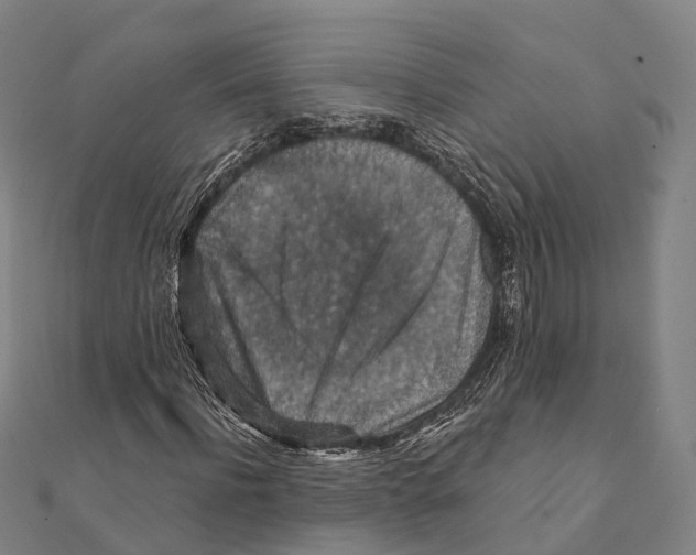 X0000111580916200908131315