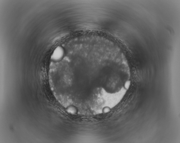 X0000111580918200908131315