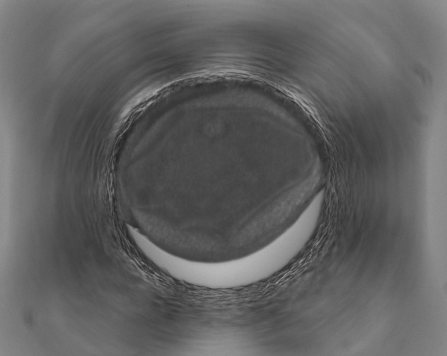 X0000111580920200908131315