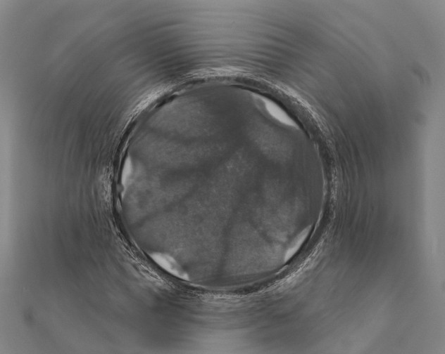 X0000111580921200908131315