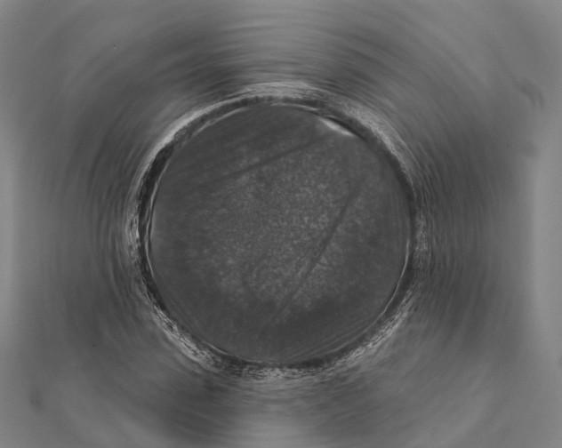 X0000111580923200908131315