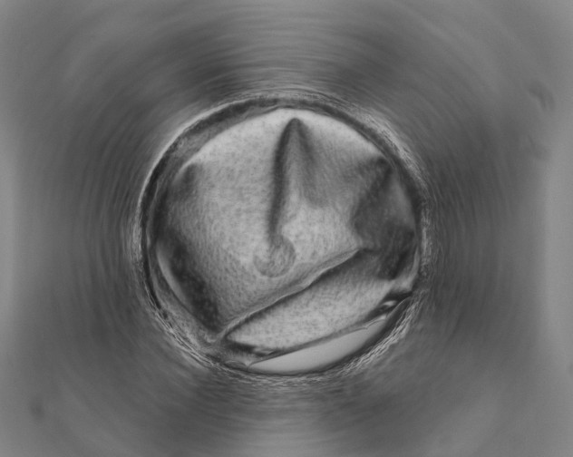 X0000111580924200908131315