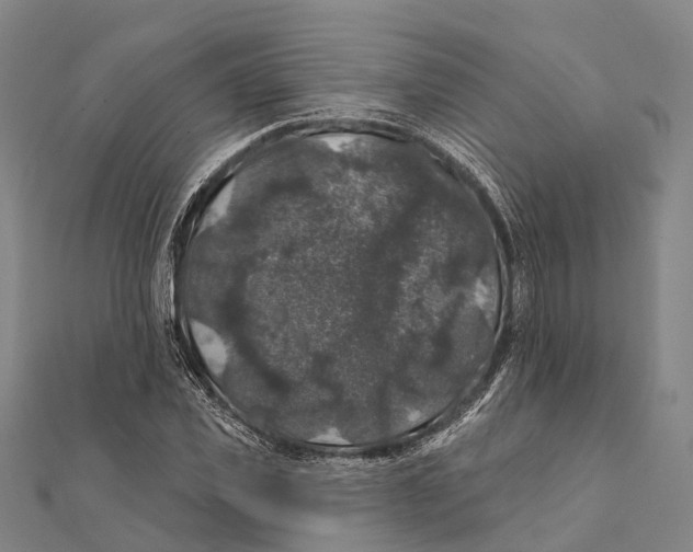 X0000111580925200908131315