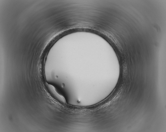 X0000111580926200908131315