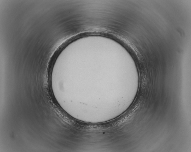 X0000111580927200908131315