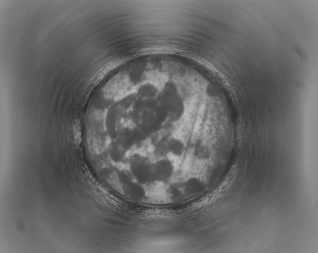 X0000111580929200908131315