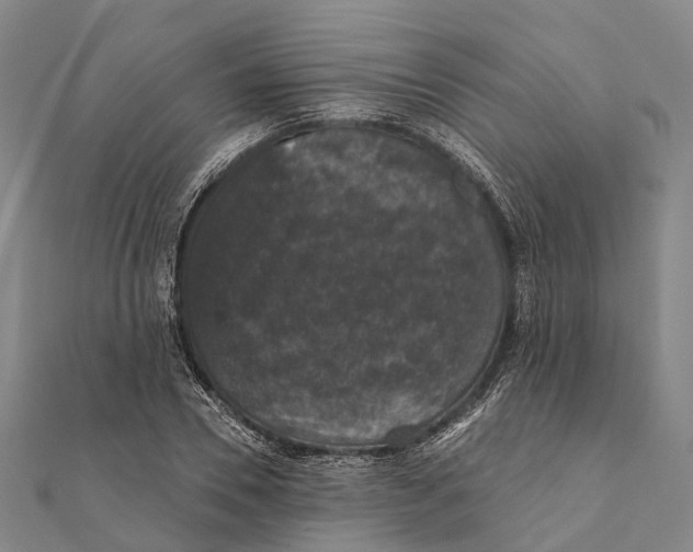 X0000111580930200908131315