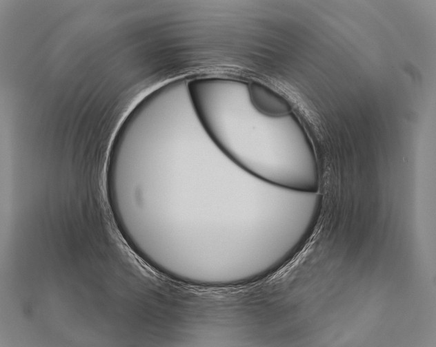 X0000111580932200908131315