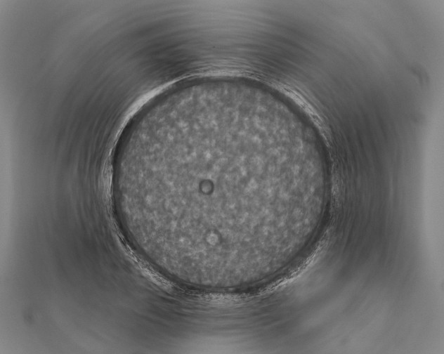 X0000111580933200908131315