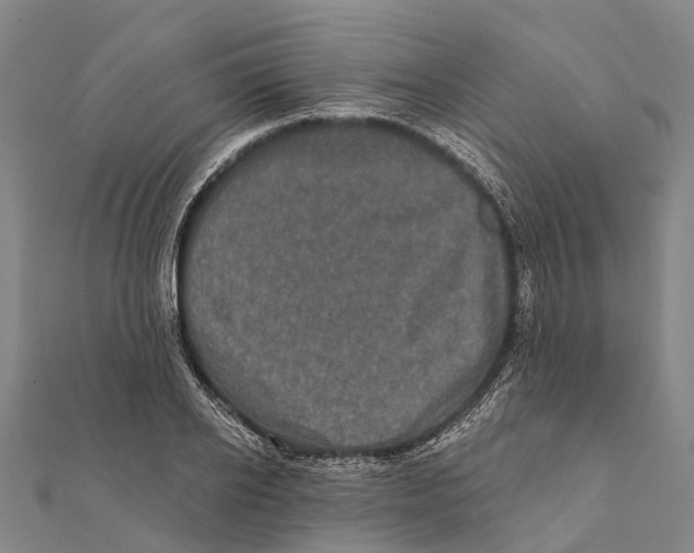 X0000111580934200908131315