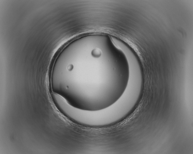 X0000111580936200908131315